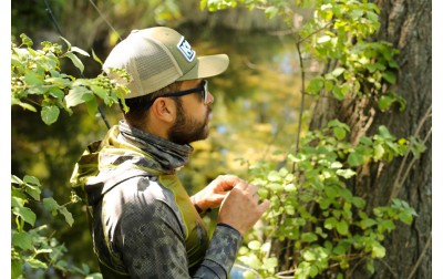 ¡Conviértanse en uno con la naturaleza!